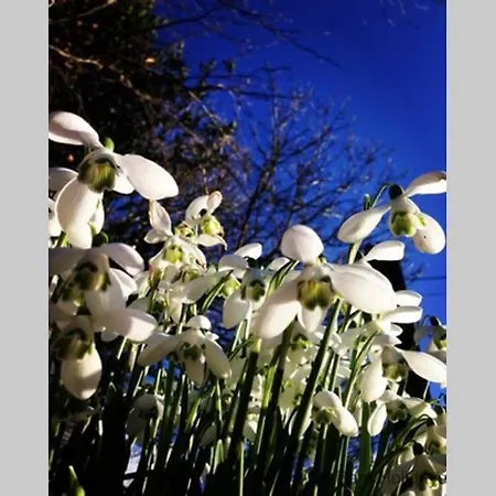 The Snug At Cornish Barn Holidays Holiday home *